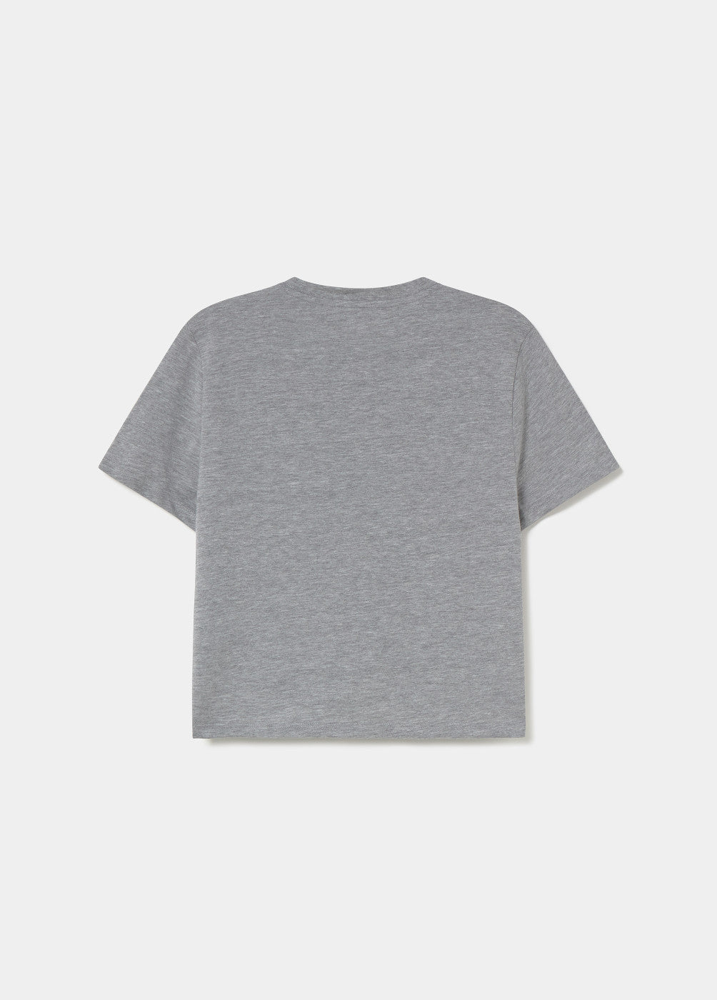 Camiseta perrito Brownie