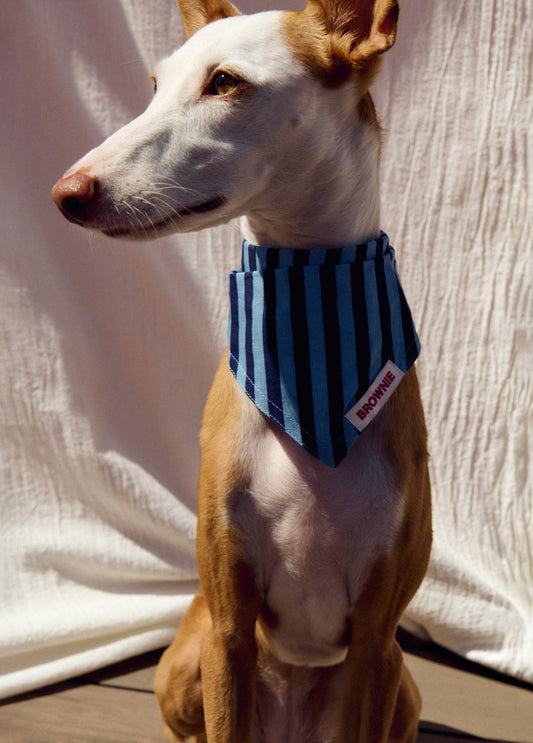 Pañuelo mascota denim