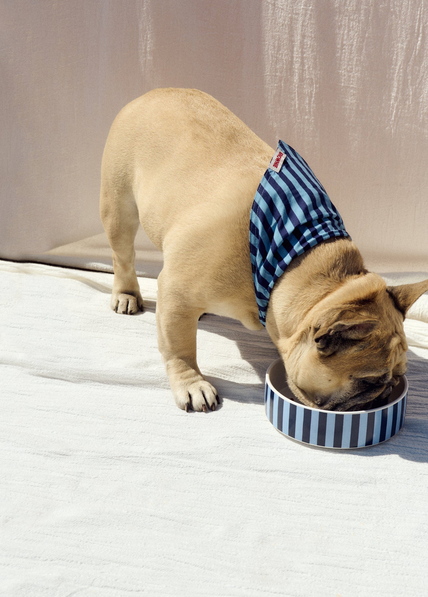Pañuelo mascota denim