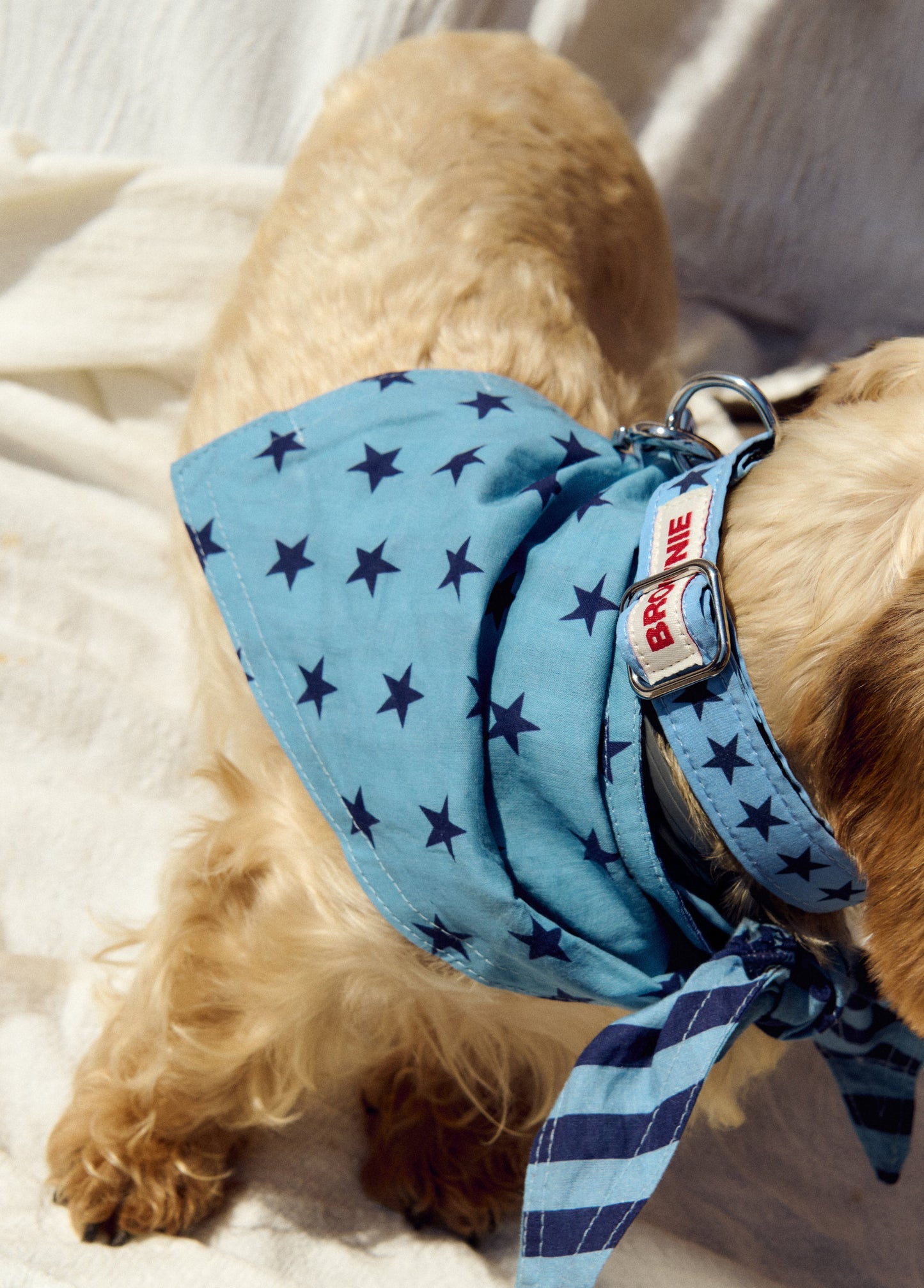Pañuelo mascota denim