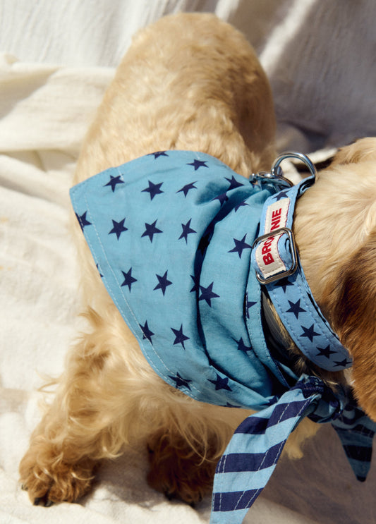 Pañuelo mascota denim