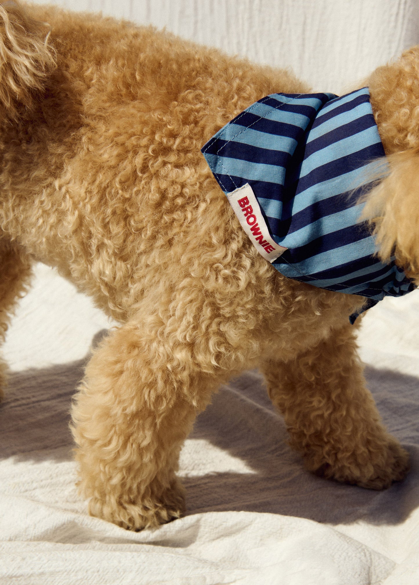 Pañuelo mascota denim