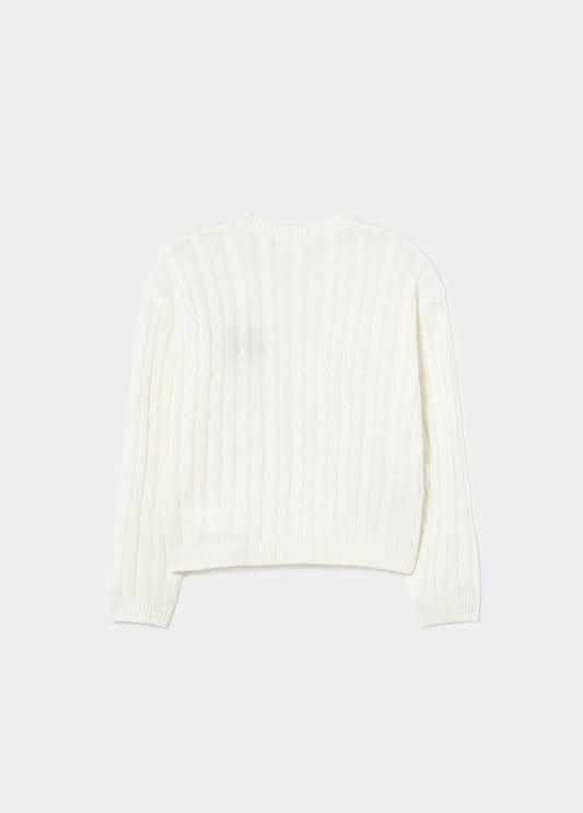 Jersey trenzas perritos