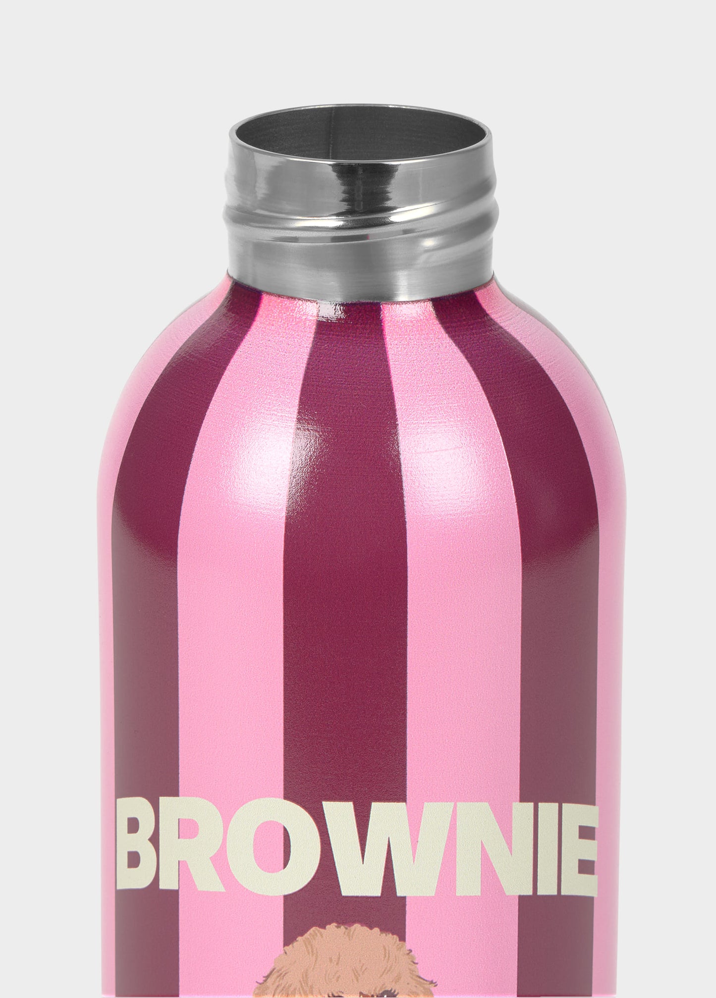 Botella rayas perro