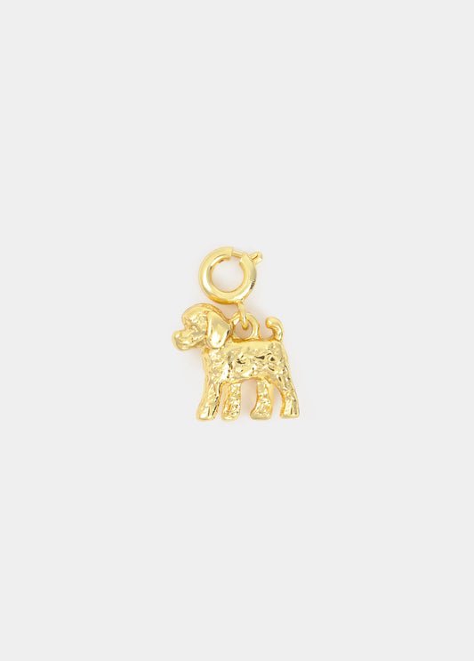 Charm perrito