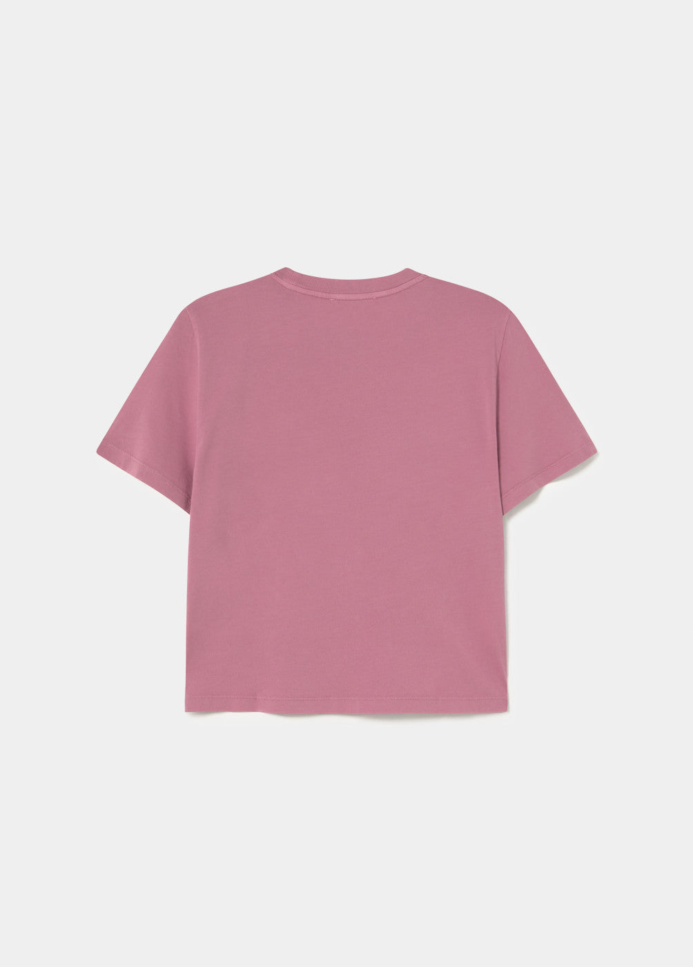 Camiseta texto Brownie