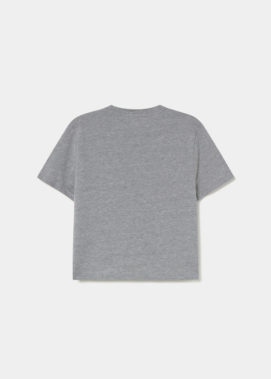 Camiseta perrito Brownie