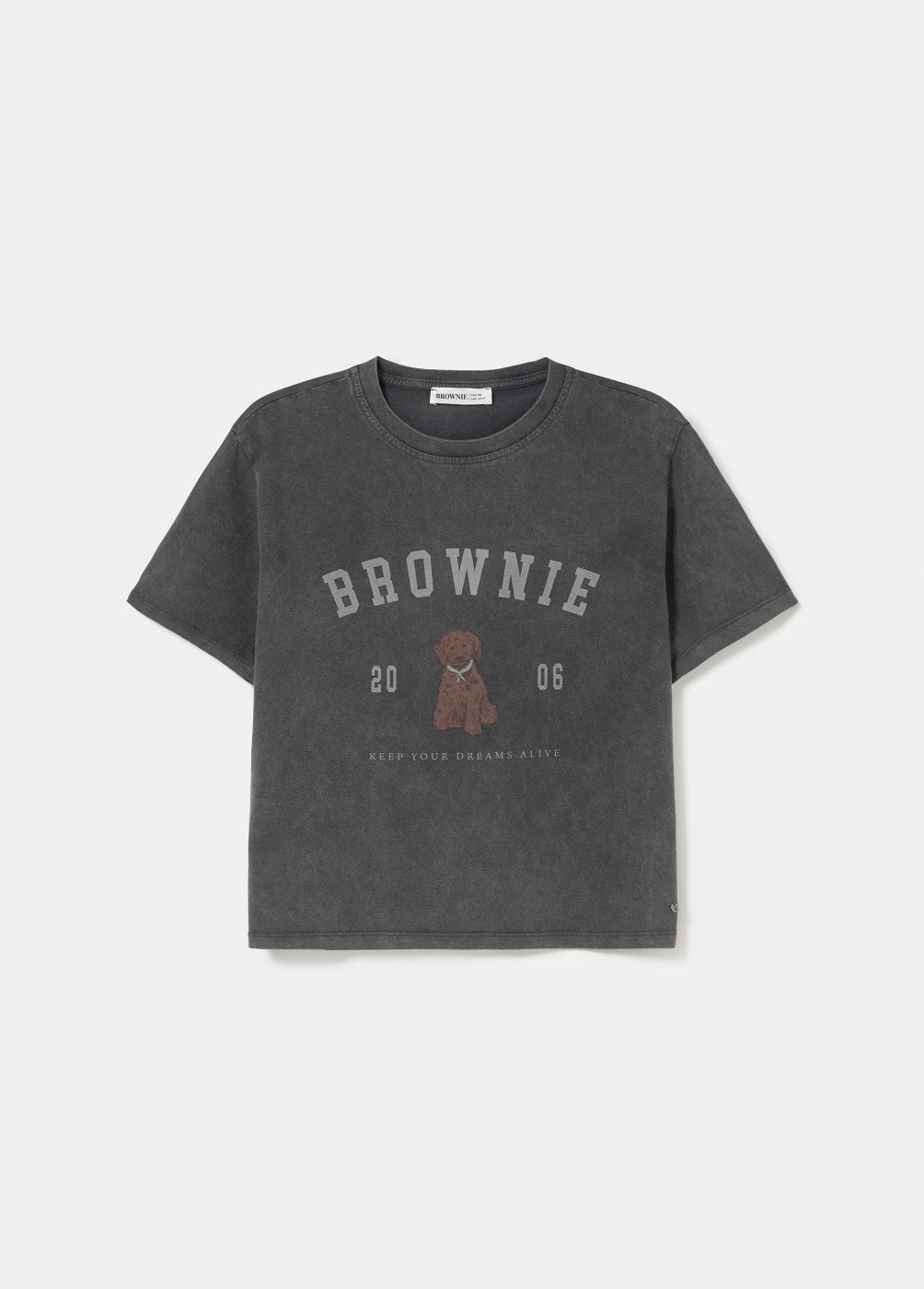 Camiseta tinte en prenda print perrito