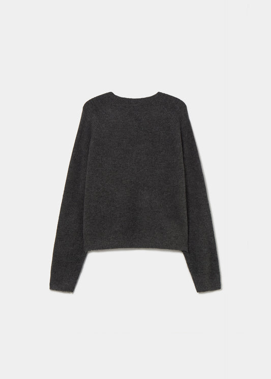 Jersey brownie logo brillante