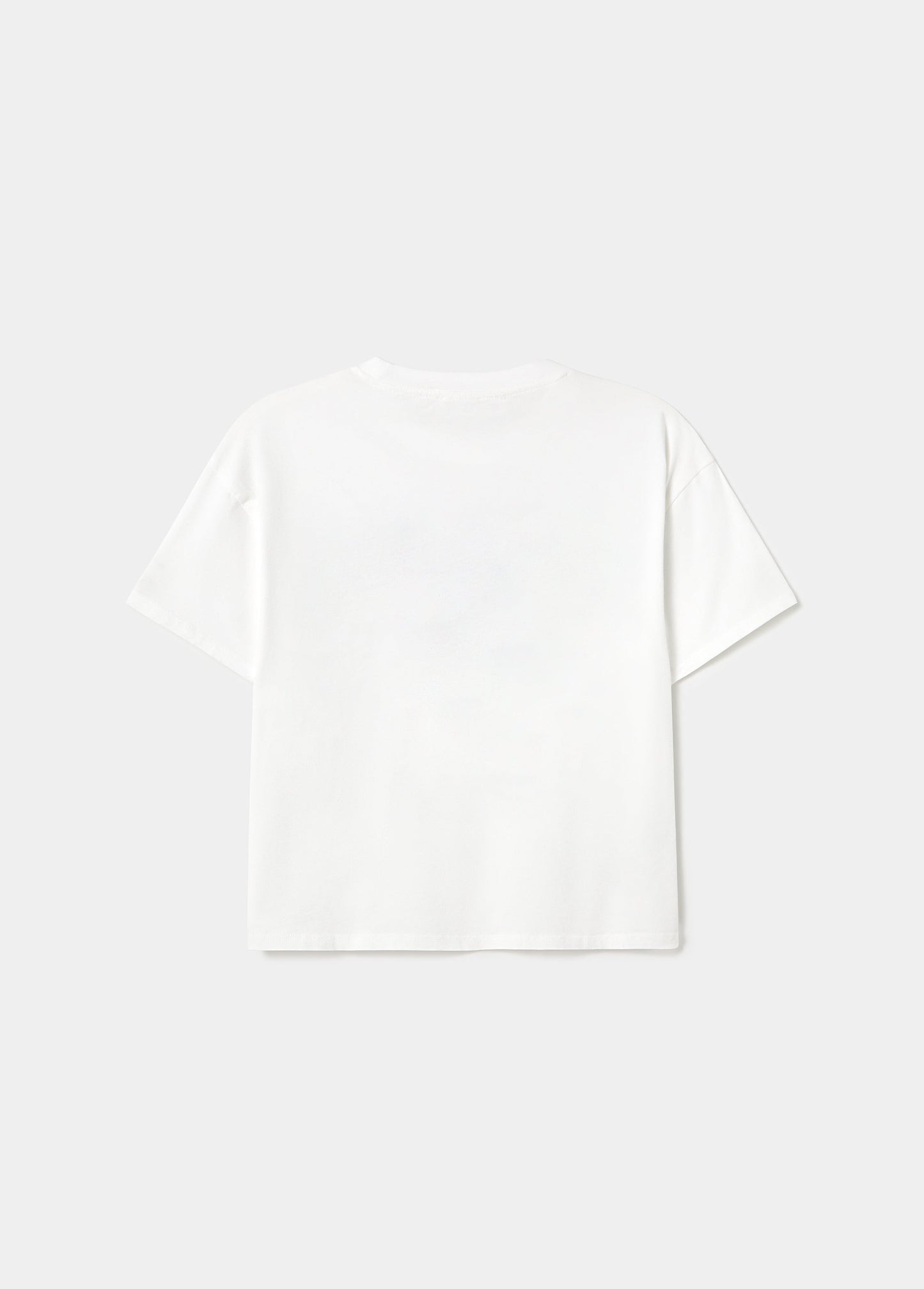 Camiseta perrito helado