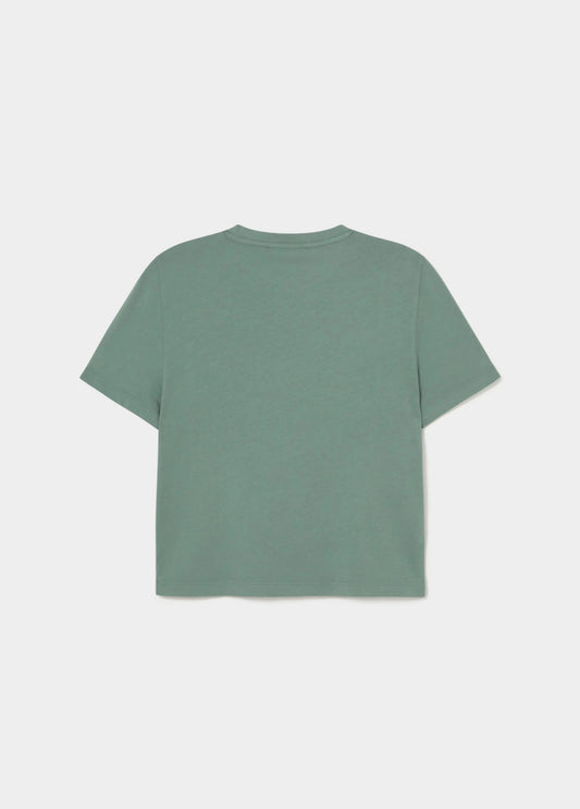 Camiseta logo brownie