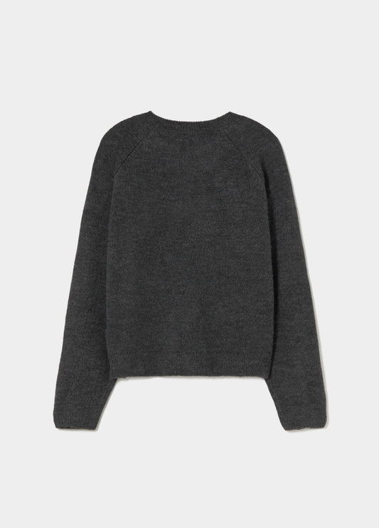 Jersey perrito esquiador