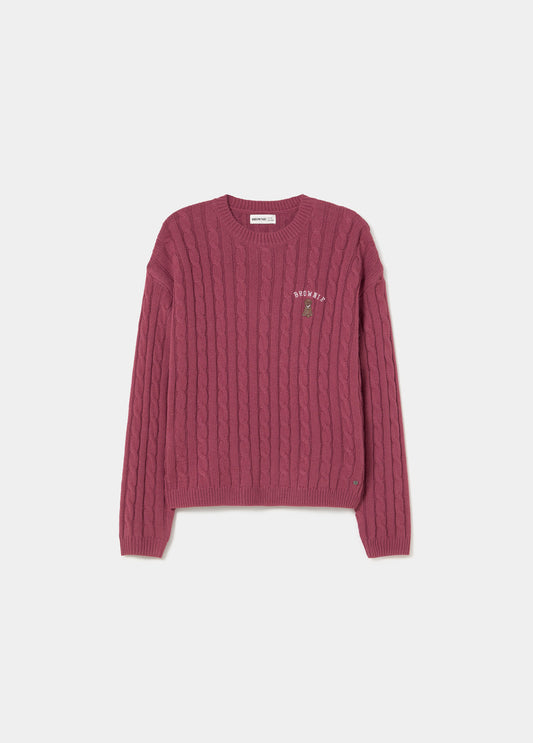 Jersey trenzas bordado perrito